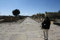 The Sphinx Way linking Luxor and Karnak Temple walking it is part of your Luxor Experience!